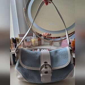 Stylish Blue and White Women's Bag